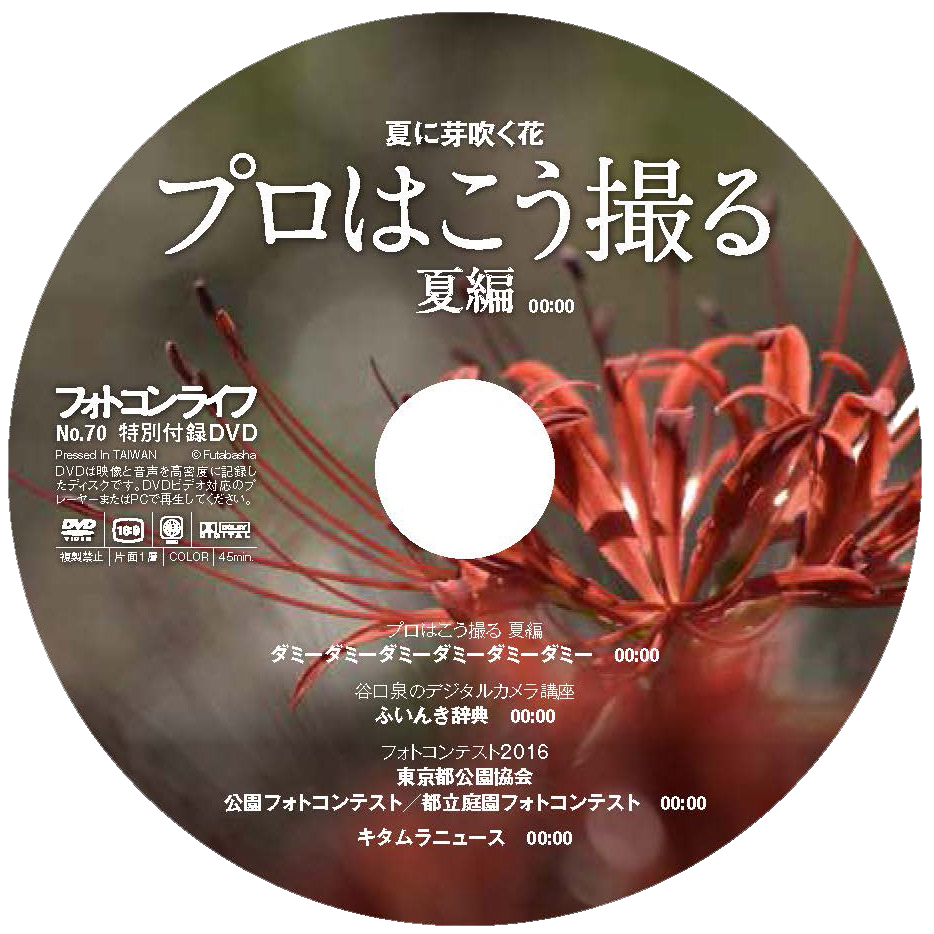 動画チラ見せ