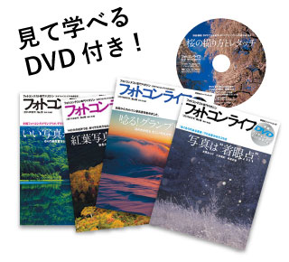 見て学べるDVD付き!