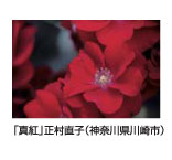 真紅　正村直子