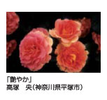 艶やか　高塚　央