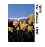 里の春　今野　聡