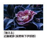 耐える　近藤斌彦