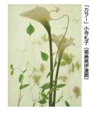 「カラー」小寺礼子