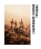 黄昏の彩　栗原昭作