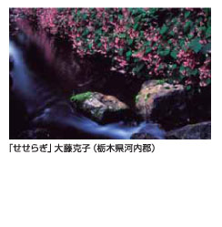 「せせらぎ」大藤克子