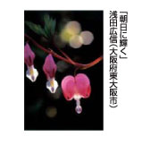 朝日に輝く　浅田広信