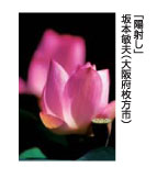 陽射し　坂本敏夫