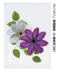 「テッセン」堀越龍雄