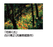 花咲く丘　白川博之
