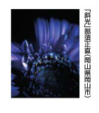 斜光　那須正直