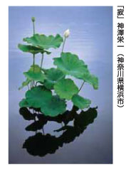 「寂」神澤栄一