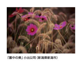 「藪中の美」小出公司