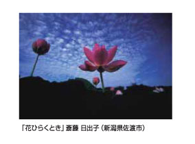 「花ひらくとき」斎藤日出子