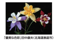 「優美な色彩」田中康夫