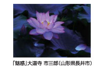 「魅惑」大道寺　市三郎