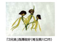 「３兄弟」西澤政好