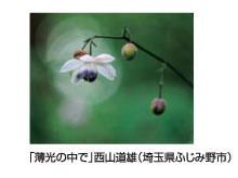 「薄光の中で」西山道雄