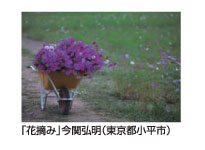 「花摘み」今関弘明