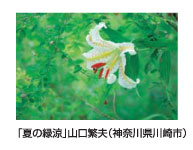 「夏の緑涼」山口繁夫