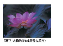 「蓮花」大橋浩美