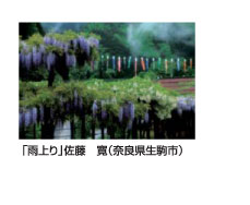 「雨上り」佐藤　寛