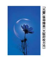 「光響」後神輝美