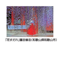 「花すだれ」藤吉修忠