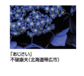 「あじさい」不破康夫