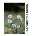 「家族」高橋一英