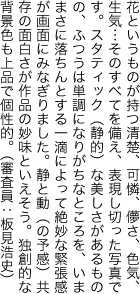 花というものが持つ清楚、可憐、儚さ、色気、 生気…そのすべてを備え、表現し切った写真で す。スタティック（静的）な美しさがあるもの の、ふつうは単調になりがちなところを、いま まさに落ちんとする一滴によって絶妙な緊張感 が画面にみなぎりました。静と動（の予感）共 存の面白さが作品の妙味といえそう。独創的な 背景色も上品で個性的。（審査員：板見浩史）