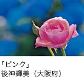 入選「ピンク」 後神輝美（大阪府）