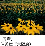 入選「同輩」 仲秀豈（大阪府）
