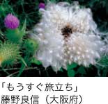 入選「もうすぐ旅立ち」 藤野良信（大阪府）