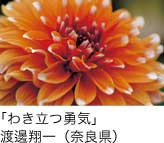 入選「わき立つ勇気」 渡邊翔一（奈良県）