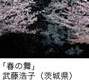 佳作「春の舞」 武藤浩子（茨城県）
