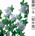佳作「無題」當摩ツネ（栃木県）