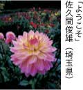 佳作「ようこそ」 佐久間俊雄（埼玉県）