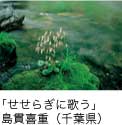 佳作「せせらぎに歌う」 島貫喜重（千葉県）