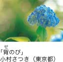 佳作「背のび」 小村さつき（東京都）
