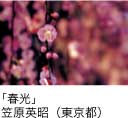 佳作「春光」 笠原英昭（東京都）