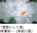 佳作「清楚にして凛」 神澤栄一（神奈川県）