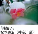 佳作「綿帽子」 松本勝治（神奈川県）