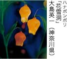佳作「花雪洞」 大島英一（神奈川県）
