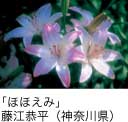佳作「ほほえみ」 藤江恭平（神奈川県）