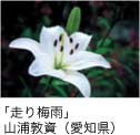 佳作「走り梅雨」 山浦敦資（愛知県）