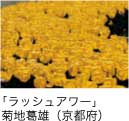 佳作「ラッシュアワー」 菊地葛雄（京都府）