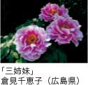 佳作「秋日和」 鶴島里子（島根県）