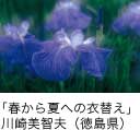 佳作「春から夏への衣替え」 川崎美智夫（徳島県）