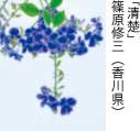 佳作「清楚」 篠原修三（香川県）