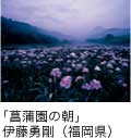 佳作「菖蒲園の朝」 伊藤勇剛（福岡県）